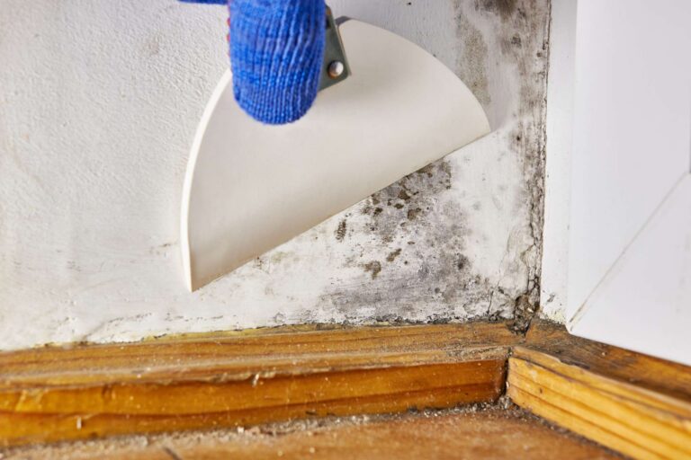 Mold growth on interior wall near baseboard being scraped and removed during remediation – Paul Davis Restoration Portland Vancouver.