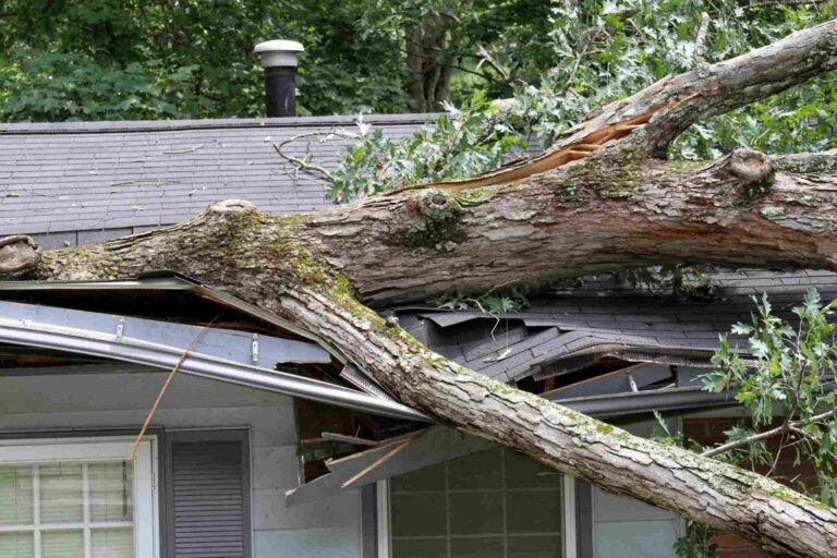 Tree fallen on residential roof causing structural storm damage in Portland Vancouver area requiring emergency restoration services.