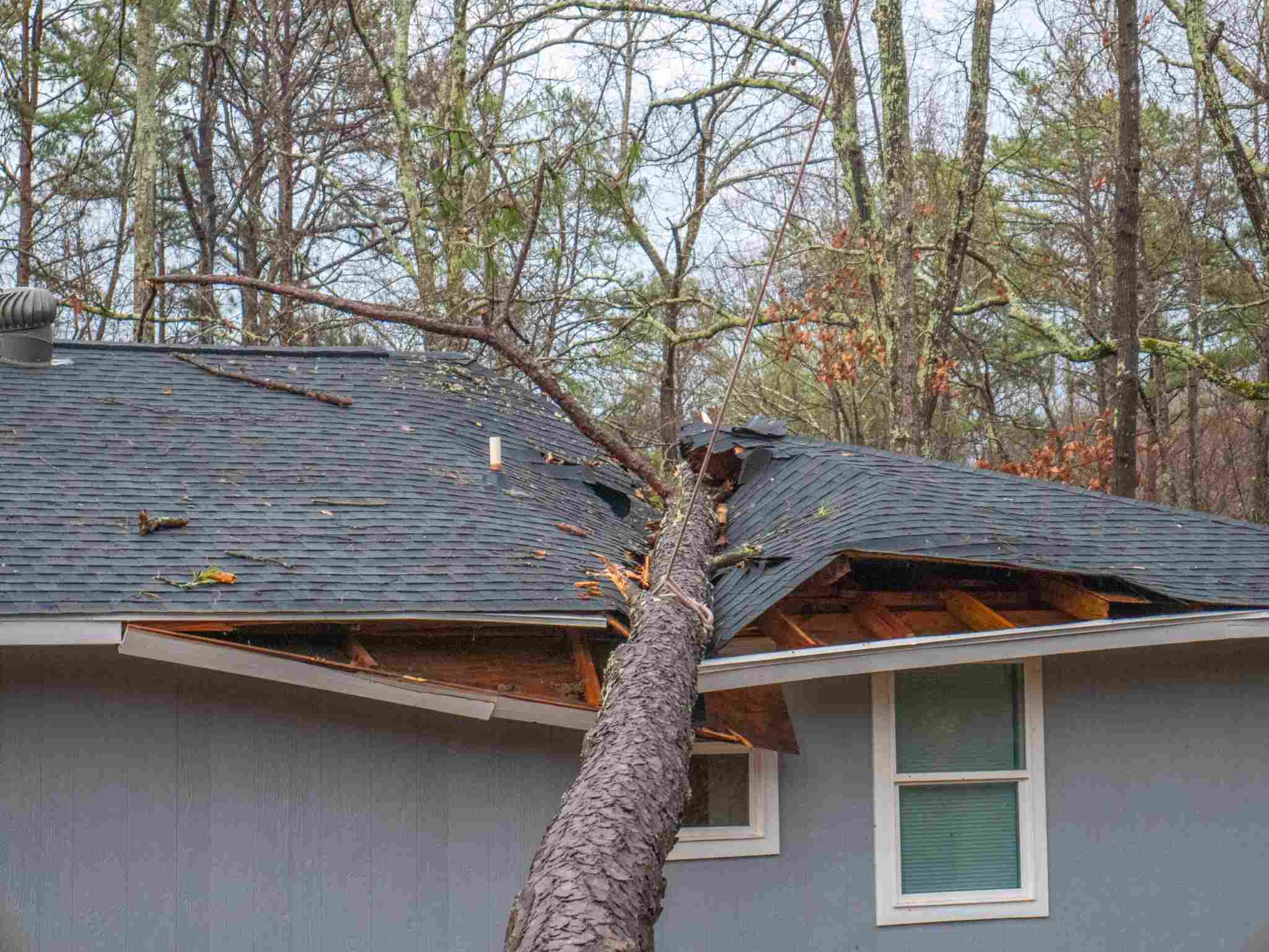 Large tree fallen on residential roof causing severe storm damage and structural impact requiring emergency restoration services.
